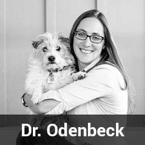 Dr.-Loni-Odenbeck