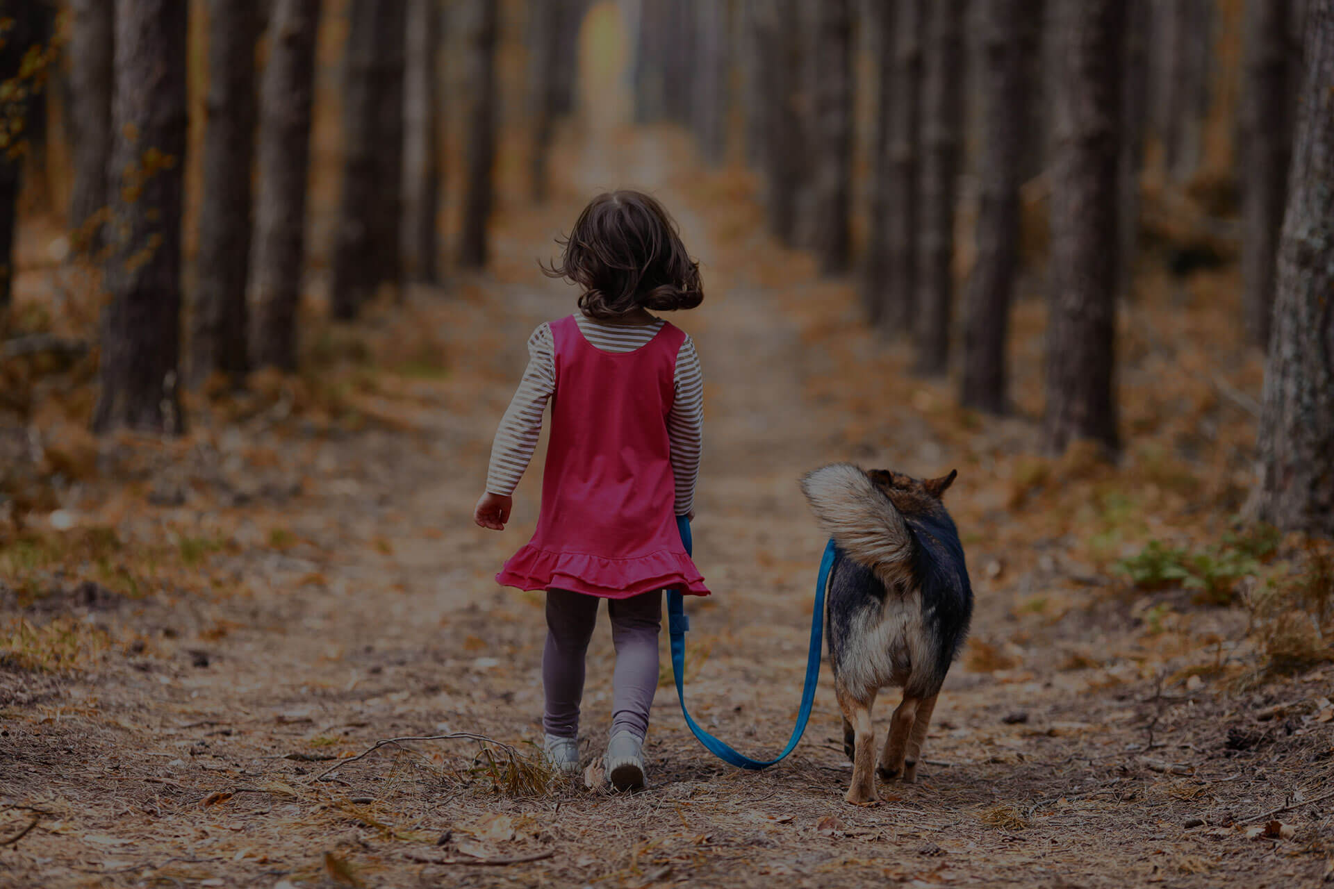 A young child with brown hair, wearing a pink dress and striped long-sleeve shirt, is walking down a forest path, holding a blue leash attached to a small dog walking beside them. The forest is dense with tall, thin trees and the path is covered in leaves.