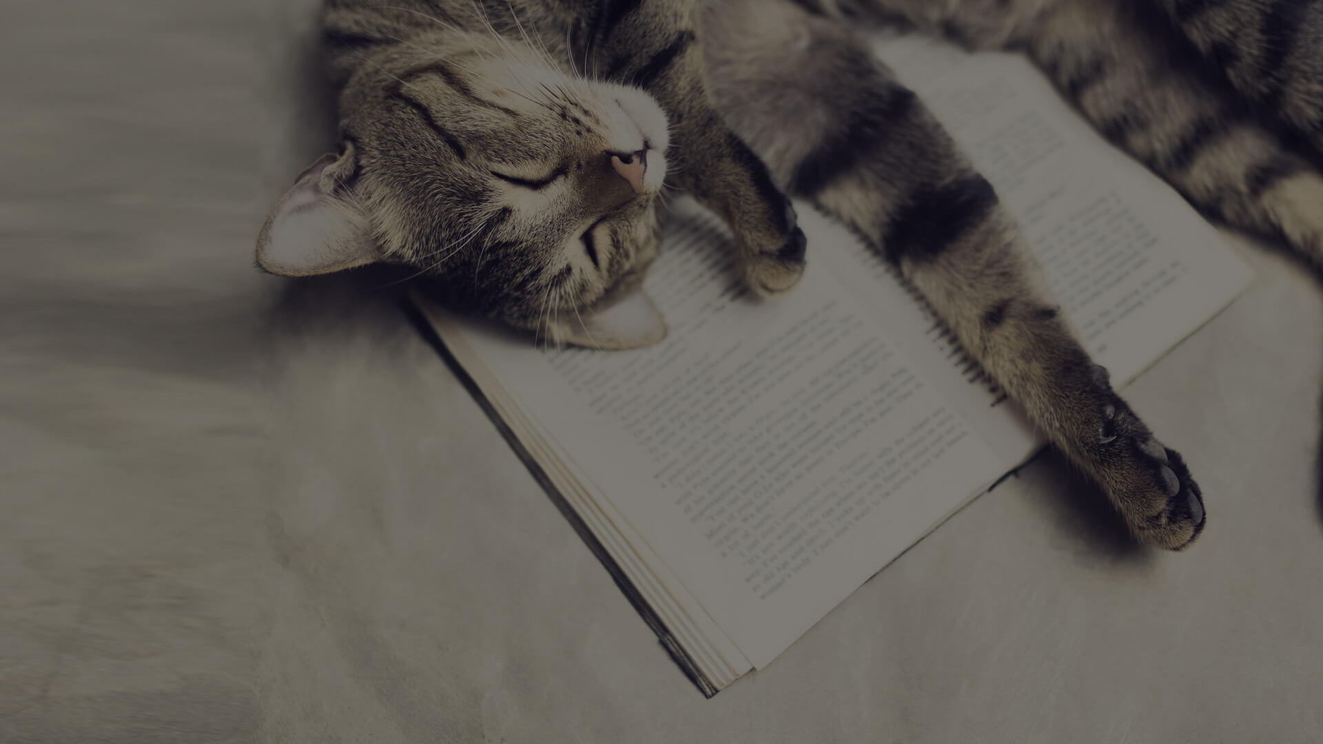 A tabby cat is lying on its back with its eyes closed, resting its head and front paw on an open book. The cat appears relaxed and content, using the book as a pillow.