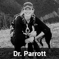 A person, labeled as Dr. Parrott, smiles while crouching and hugging a dog outdoors. The background features a mountainous, forested landscape.