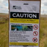 A sign posted by Lewis & Clark Public Health warns about toxic algae in water. It advises avoiding contact with algae, not drinking the water, and preventing pets and livestock from accessing it. It also includes emergency contact information for reporting algae blooms.