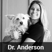 A smiling woman in a black shirt, holding a scruffy dog. The image has the text "Dr. Anderson" at the bottom.