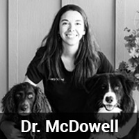 A black-and-white photo of a person smiling and wearing a dark-colored top. They are flanked by two dogs, one with curly fur and another with short fur. The text "Dr. McDowell" is displayed at the bottom of the image.