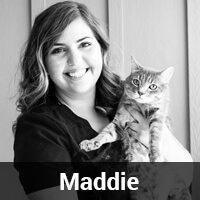 A woman with wavy hair, named Maddie, smiling and holding a tabby cat. The image is black and white, with a background featuring a vertical panel design.