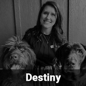 A woman is sitting in front of a wooden background with two dogs, one on each side. She is smiling, wearing a dark top, and has long, wavy hair. The dog on the left is fluffy, while the one on the right has shorter hair. The text "Destiny" is displayed at the bottom.