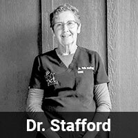A woman wearing glasses and a uniform with the name "Dr. Beth Stafford" smiles at the camera. The image is in black and white, and below her, the text reads "Dr. Stafford." She stands against a wooden background.