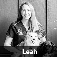 A person with long hair smiles while holding two dogs. They are wearing a dark shirt with a logo on it. The name "Leah" is displayed at the bottom of the image. The background appears to be a plain wall.