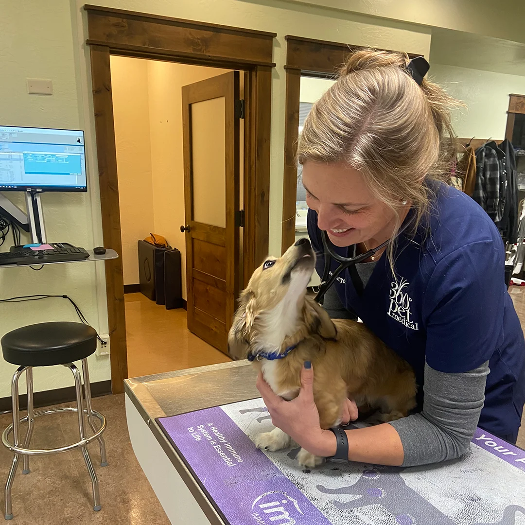 Veterinarian smiling while holding a small puppy on the exam table at 360 Pet Medical
