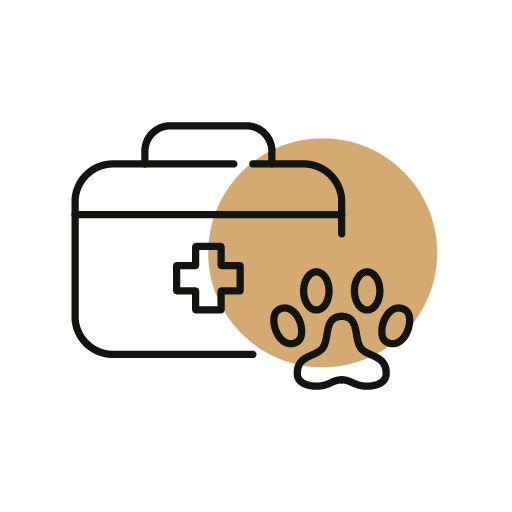 Emergency Services Icon