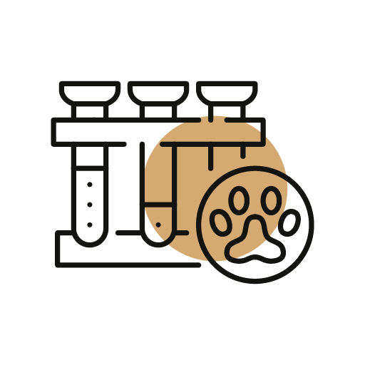 Laboratory Testing Icon