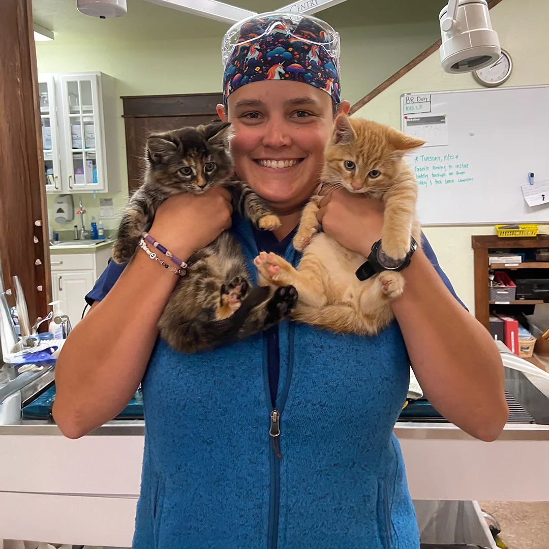 Smiling staff member wearing scrub cap holds two kittens in exam area at 360 Pet Medical