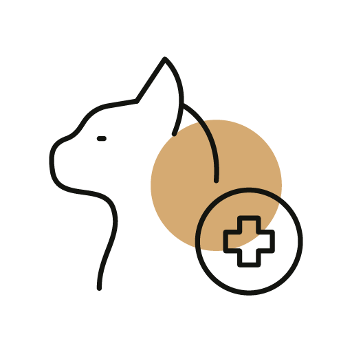 Spaying and Neutering Icon